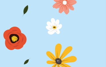 Modello configuratore