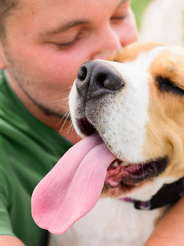 A bubble game to celebrate with your dog